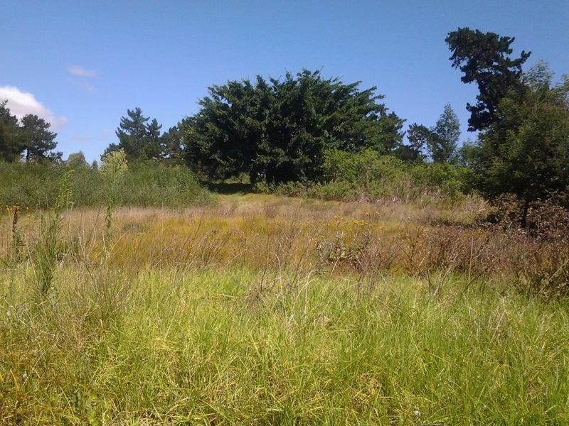 0 Bedroom Property for Sale in Albertinia Western Cape